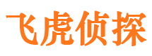 禄丰市调查公司